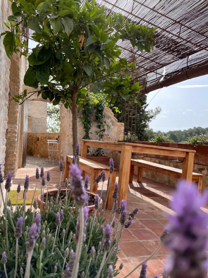 Casa de pueblo de 4 habitaciones con jardín a 10minutos de la playa en coche Taronja&Canyella Ardenya Exterior foto